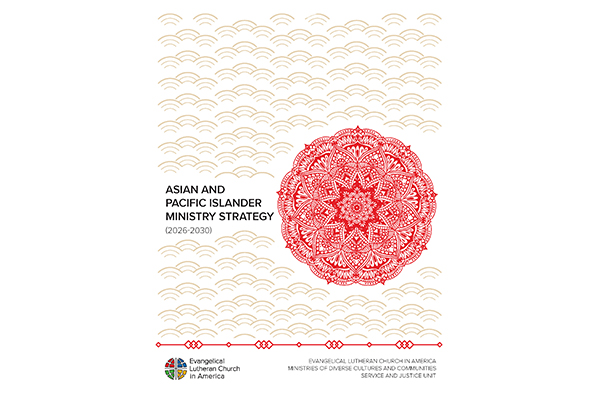 Asian and Pacific Islander Strategic Plan