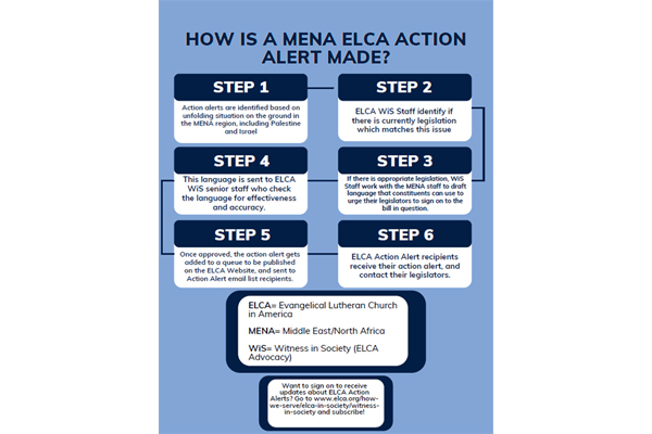 MENA Action Alert Flyer